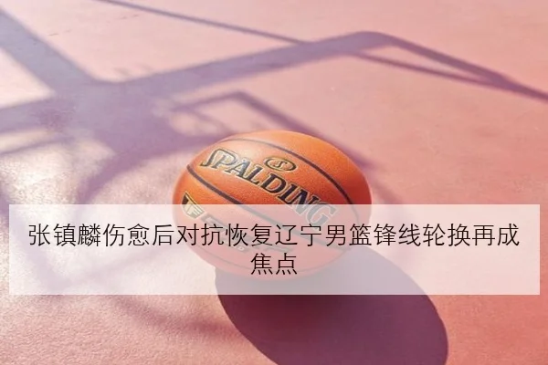 张镇麟伤愈后对抗恢复辽宁男篮锋线轮换再成焦点